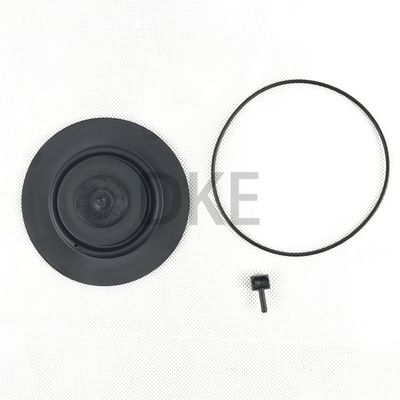 Goyen Type K2549 Pulse Valve Maintenance Kits RCAC25 Seri T3, DD3, FS3