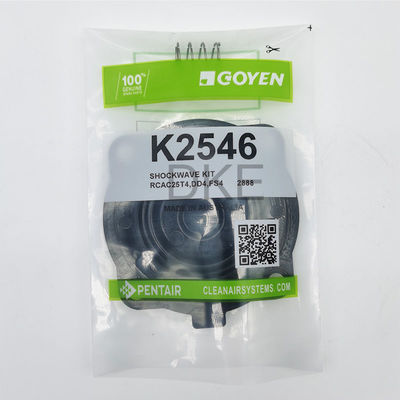 Goyen Type 2546 K2549 Pulse Valve Maintenance Kits RCAC25 Seri T3, DD3, FS3,