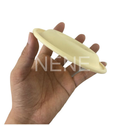 3/4 "Inch 93465 93111 DN20 Ingersoll Rand Pompa Diafragma Santoprene/PTFE Diafragma Perbaikan Kit PD07P-APS-PAA PD07P-APS-PTT