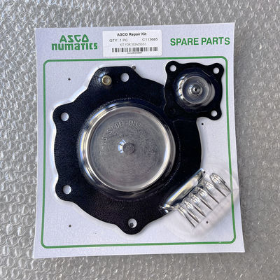 C113685 Tipe Asco Pulse Valve Diaphragm Repair Kit Diaphragm