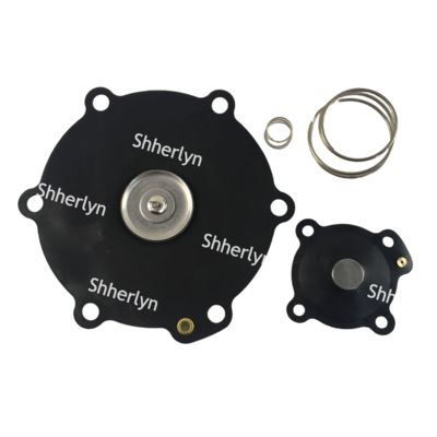 Kit Perbaikan Diafragma Mecair 2 inci DB116 DB16 VNP216 VEM216 VNP316 VITON Kustomisasi