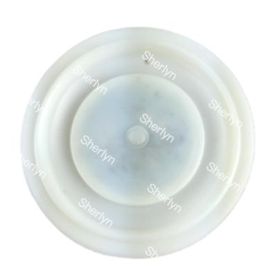 Autel M/D25 Kit Perbaikan Diafragma Katup Denyut Elektromagnetik Diafragma 1 inci AE1825B AE2825B