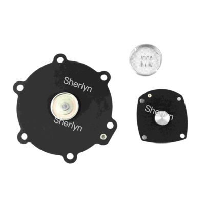 M50 Kit Perbaikan Diafragma Turbo 2" DN50 FP55 FM55 SQP50 SQM60