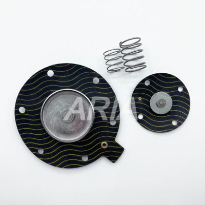 Kit Perbaikan Diafragma Katup Denyut WSTSON WPS-CA/TG40, Kit Perbaikan Katup Denyut