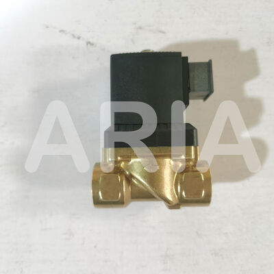 00221654 '00221655' 00221657 BURKRET Seri 6213 Katup Solenoid G1/2 2-Arah