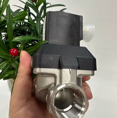 BurkeRT 6213EV 00222168 00222169 00222170 Katup Solenoid Biasanya Tertutup Katup Solenoid Baja Tahan Karat Katup Kontrol Pneumatik