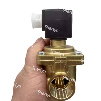 6281 Burkert Electron Magnetic Valve 00221931 G3/4 2/2 Biasanya terbuka AC24V