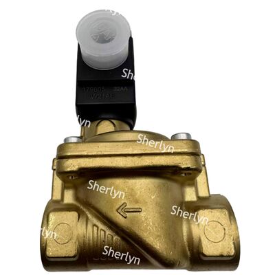 6281 Burkert Electron Magnetic Valve 00221931 G3/4 2/2 Biasanya terbuka AC24V