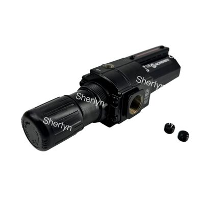 B74G-6AK-QD1-RMN NORGREN 3/4 PTF, 0,3-10 BAR 5 μM