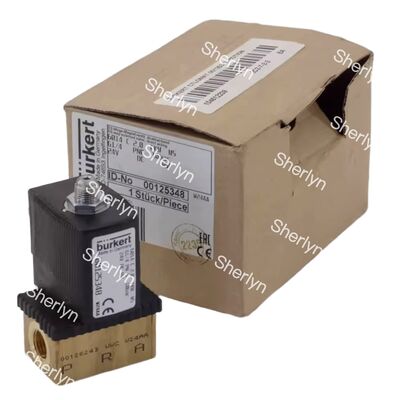 Katup Solenoid Burkert 00134240 6013 Aksi Langsung G1/8 2/2 NC Lubang 2.5mm Segel FKM Bodi Kuningan 24VDC 8W 0-10bar