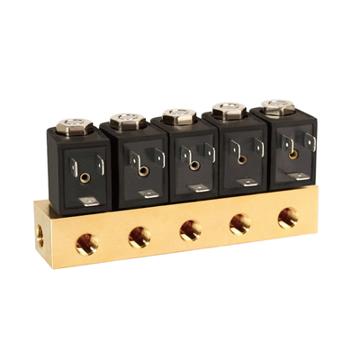 Katup Solenoid Pneumatik Ukuran Port 1/4 ''1913BB302 Operasi Aksi Langsung Menampilkan Bahan Segel FKM 2/2 Cara Biasanya Terbuka