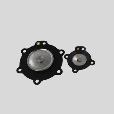 DB114 DB16 Diaphragm Kit With 2 Springs FKM Material Sealed Pack M Bag Packaging Fit For Mecair Pulse Jet Valve Combined Repair Spare Parts Compatible Valve VNP/VEM214, VNP/VEM314
