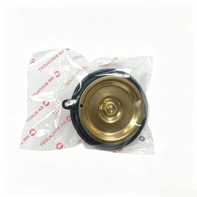 Buschjost Norgren 1256274.0000.00000 Kit Perbaikan Katup untuk 82400 / 82730 Series Indirect Pilot Solenoid Valve Complete Diaphragm O Ring Seal Bagian pengganti untuk pemeliharaan sistem kontrol cairan