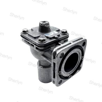 GOYEN generasi ke-4 RCAC25FS4 1 inci katup flange pulsa kontrol debu pneumatik