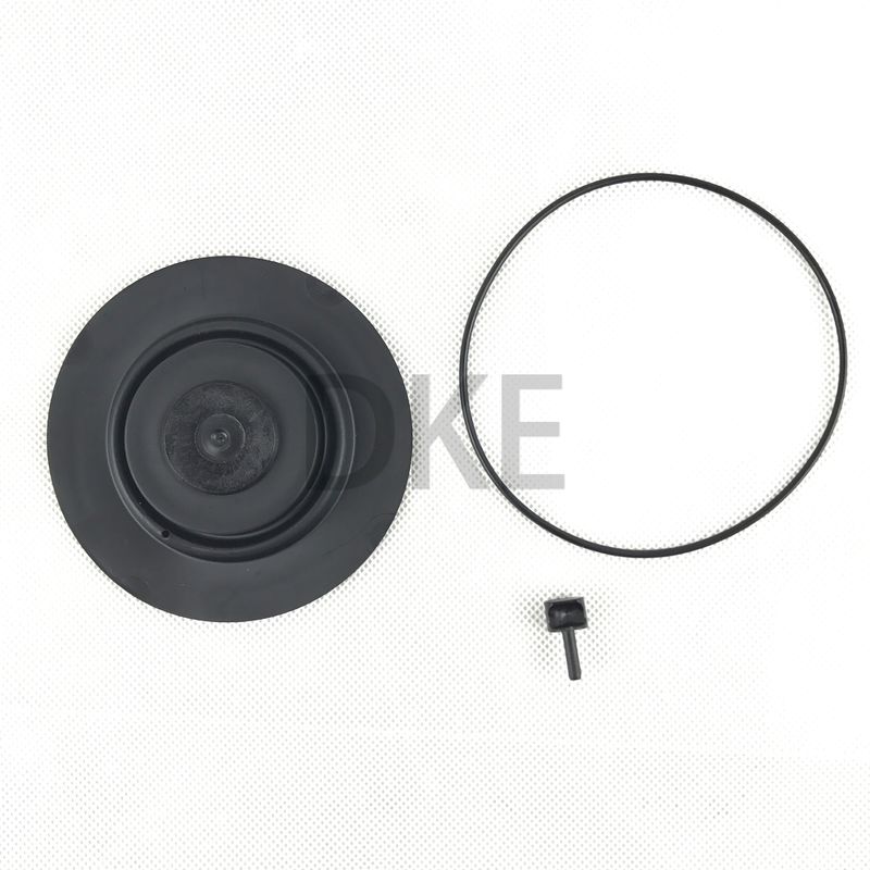 Goyen Type K2549 Pulse Valve Maintenance Kits RCAC25 Seri T3, DD3, FS3