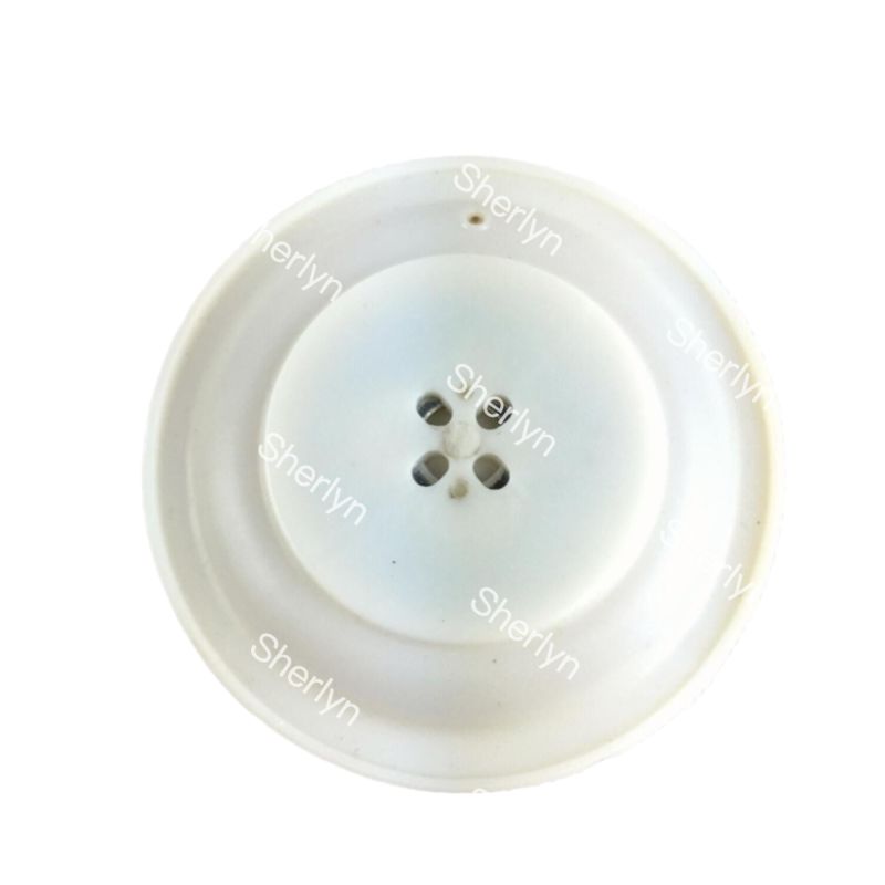 Autel M/D25 Kit Perbaikan Diafragma Katup Denyut Elektromagnetik Diafragma 1 inci AE1825B AE2825B