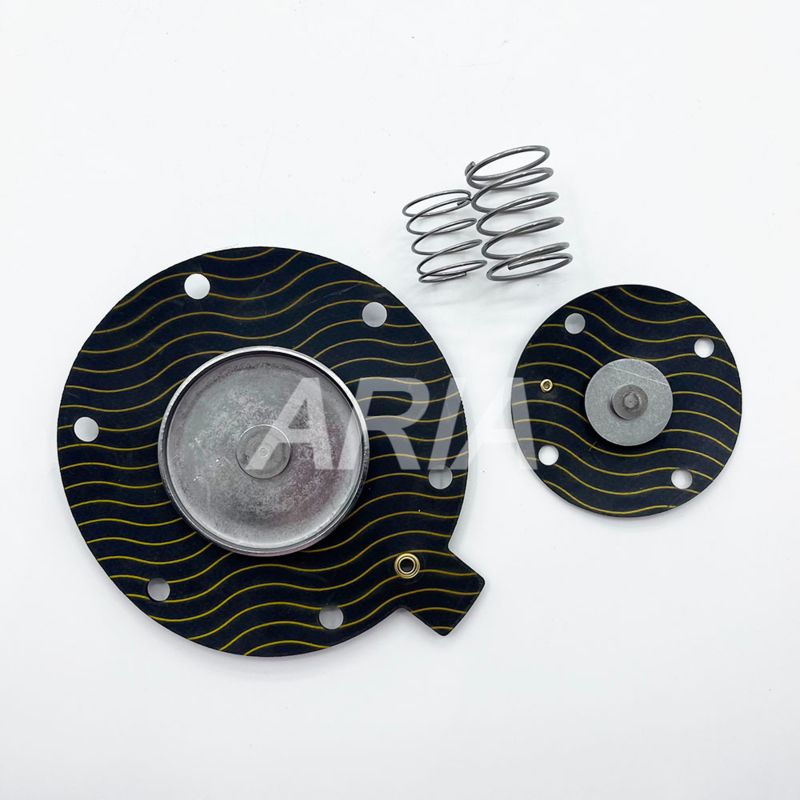 Kit Perbaikan Diafragma Katup Denyut WSTSON WPS-CA/TG40, Kit Perbaikan Katup Denyut