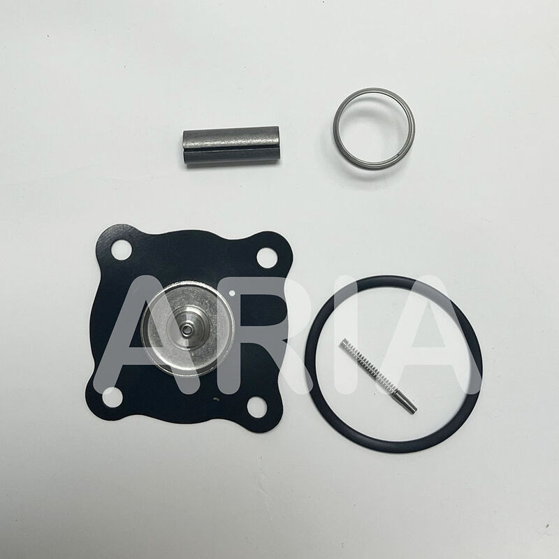 Kit Perbaikan Katup Air Elektromagnetik ASCO K302273 Diafragma Pilot Pegas Cincin Segel K302277 C123670 K302276 SCE210D009 8210G009 D095A