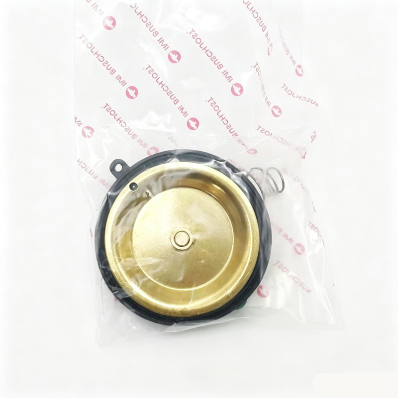 Buschjost Norgren 1256274.0000.00000 Kit Perbaikan Katup untuk 82400 / 82730 Series Indirect Pilot Solenoid Valve Complete Diaphragm O Ring Seal Bagian pengganti untuk pemeliharaan sistem kontrol cairan